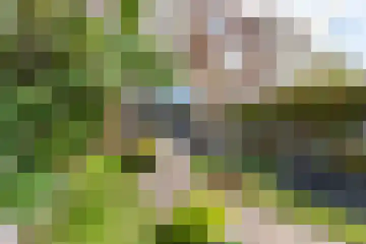 Parelgraslaan 53 Rijswijk thumbnail 15
