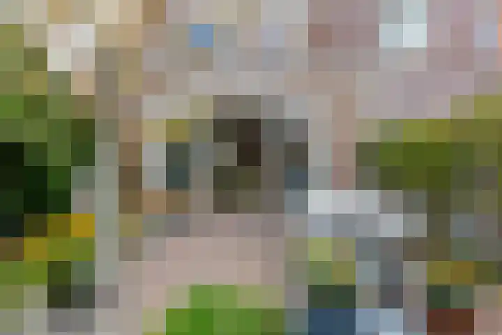 Parelgraslaan 53 Rijswijk thumbnail 16