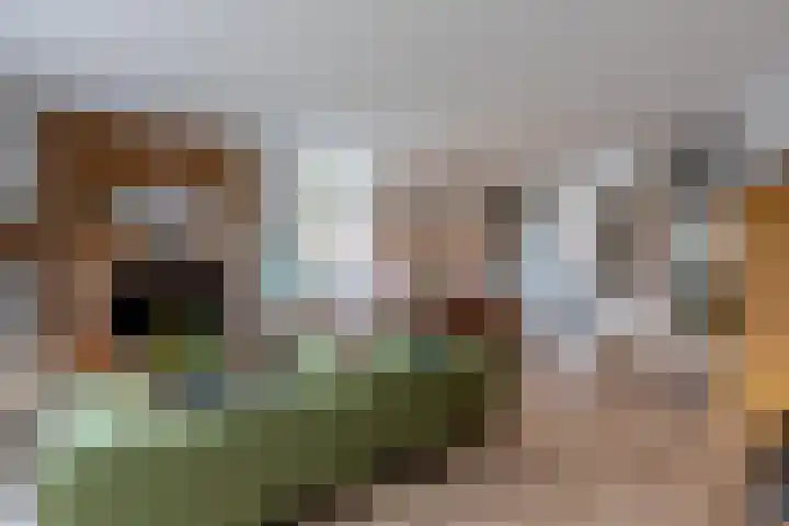 Parelgraslaan 53 Rijswijk thumbnail 17