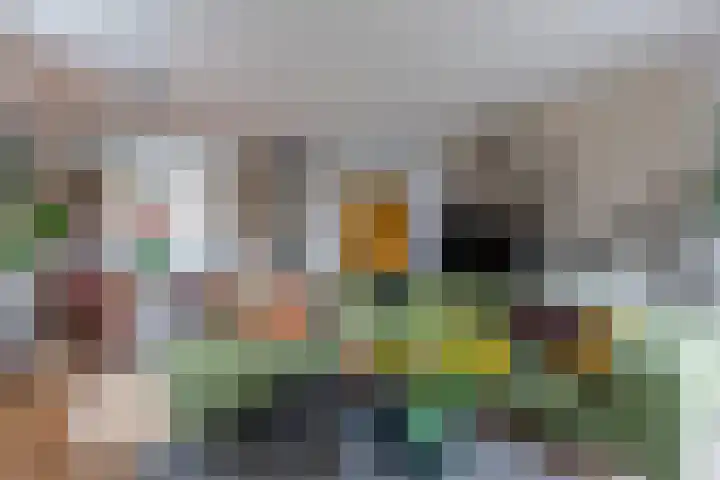 Parelgraslaan 53 Rijswijk thumbnail 18