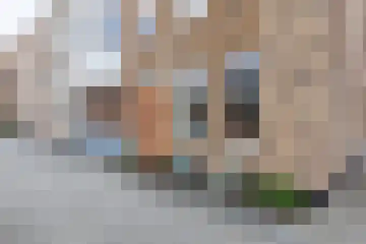Parelgraslaan 53 Rijswijk foto 2