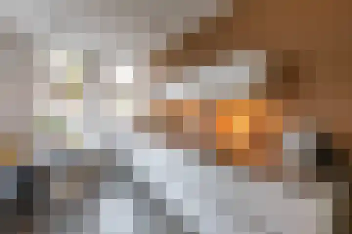 Parelgraslaan 53 Rijswijk thumbnail 23