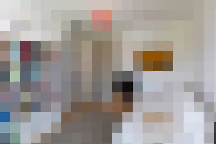 Parelgraslaan 53 Rijswijk thumbnail 30