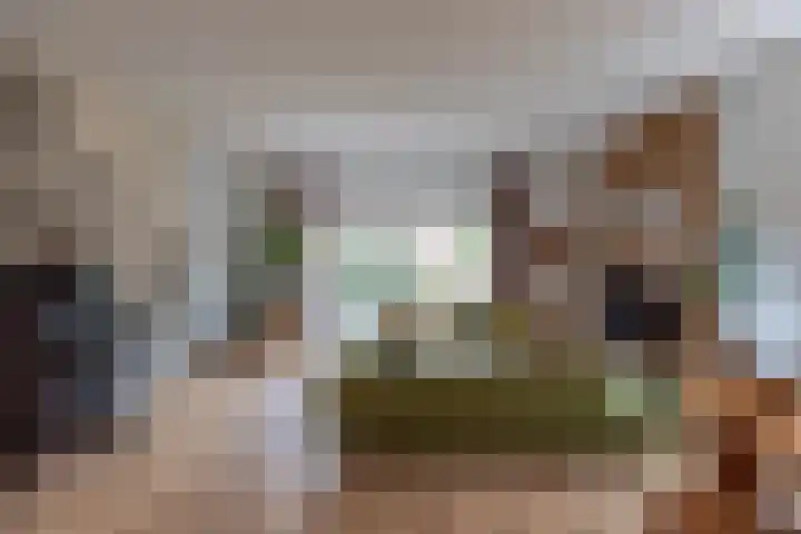 Parelgraslaan 53 Rijswijk thumbnail 4