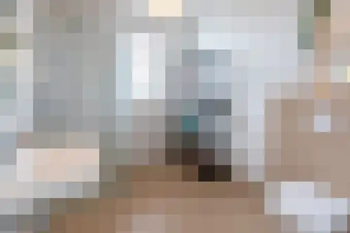 Parelgraslaan 53 Rijswijk thumbnail 41