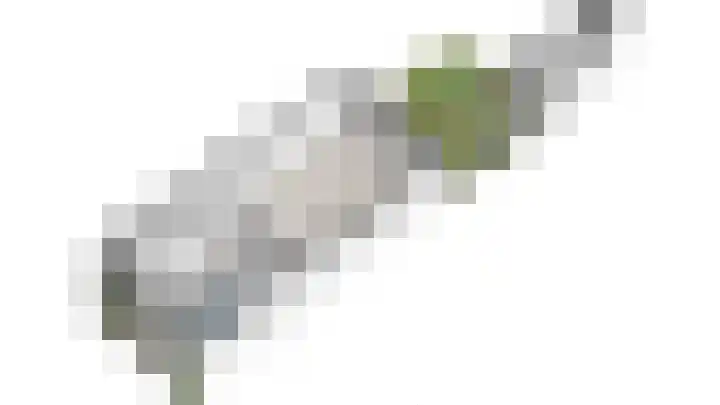Parelgraslaan 53 Rijswijk thumbnail 54