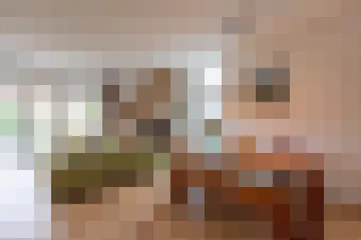 Parelgraslaan 53 Rijswijk thumbnail 6