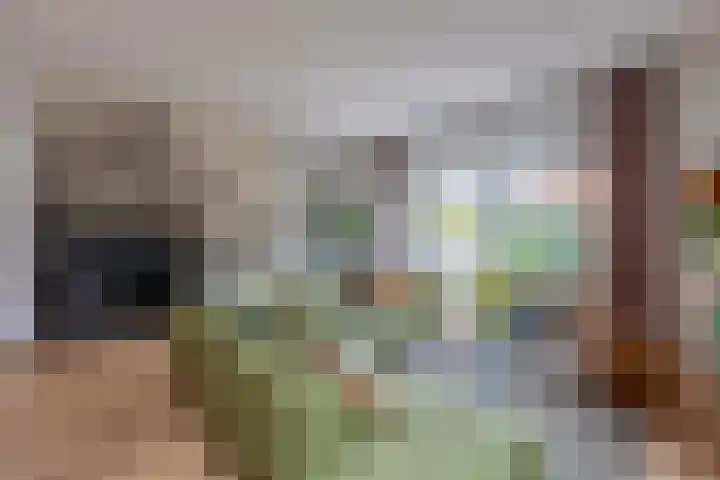 Parelgraslaan 53 Rijswijk thumbnail 7