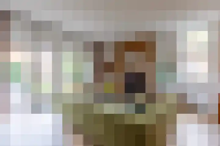 Parelgraslaan 53 Rijswijk thumbnail 8