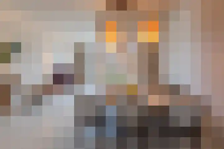 Parelgraslaan 56 Rijswijk thumbnail 23