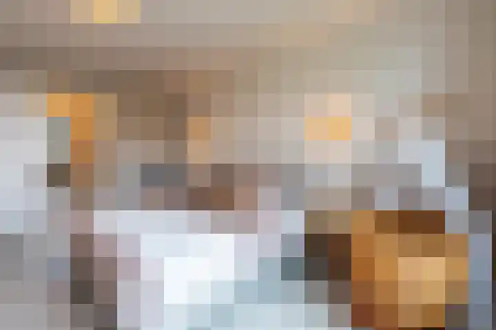Parelgraslaan 56 Rijswijk thumbnail 33