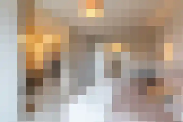 Parelgraslaan 56 Rijswijk thumbnail 34