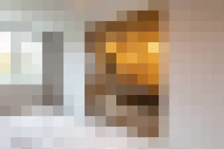 Parelgraslaan 56 Rijswijk thumbnail 37