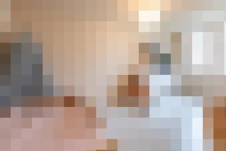 Parelgraslaan 56 Rijswijk thumbnail 38