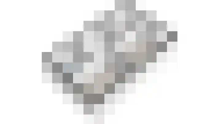 Parelgraslaan 56 Rijswijk thumbnail 51