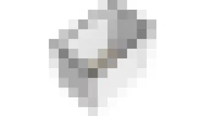 Parelgraslaan 56 Rijswijk thumbnail 53