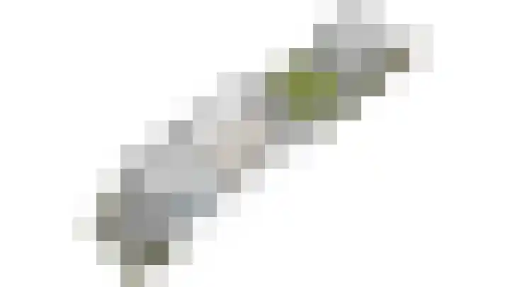 Parelgraslaan 56 Rijswijk thumbnail 55