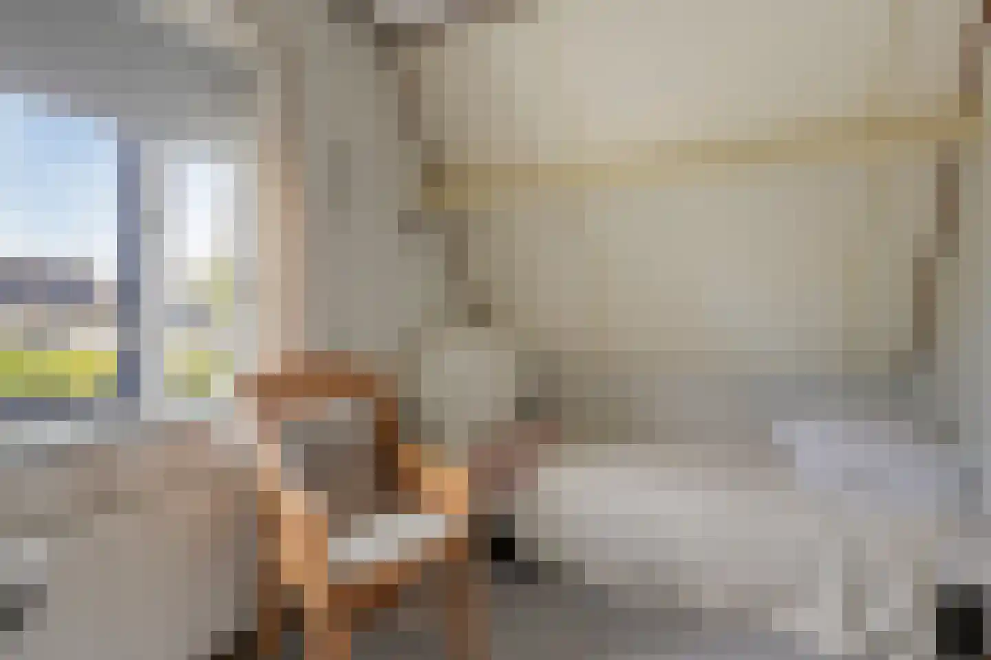 Parelhoen 8 Heinkenszand thumbnail 21