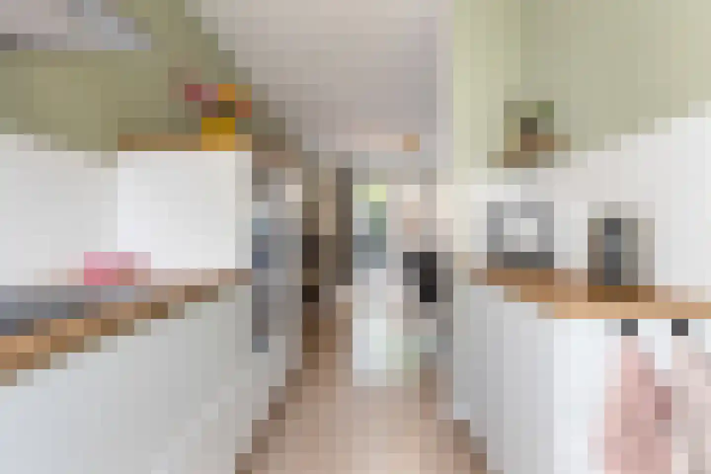 Parelhoender 20 Apeldoorn thumbnail 11