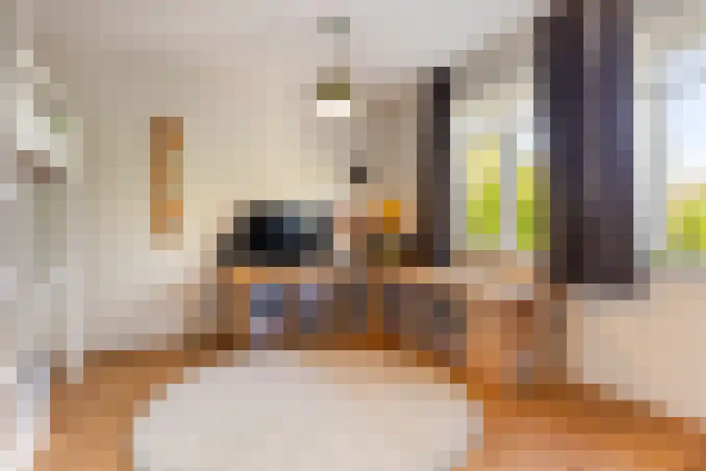 Parelhoender 20 Apeldoorn thumbnail 17