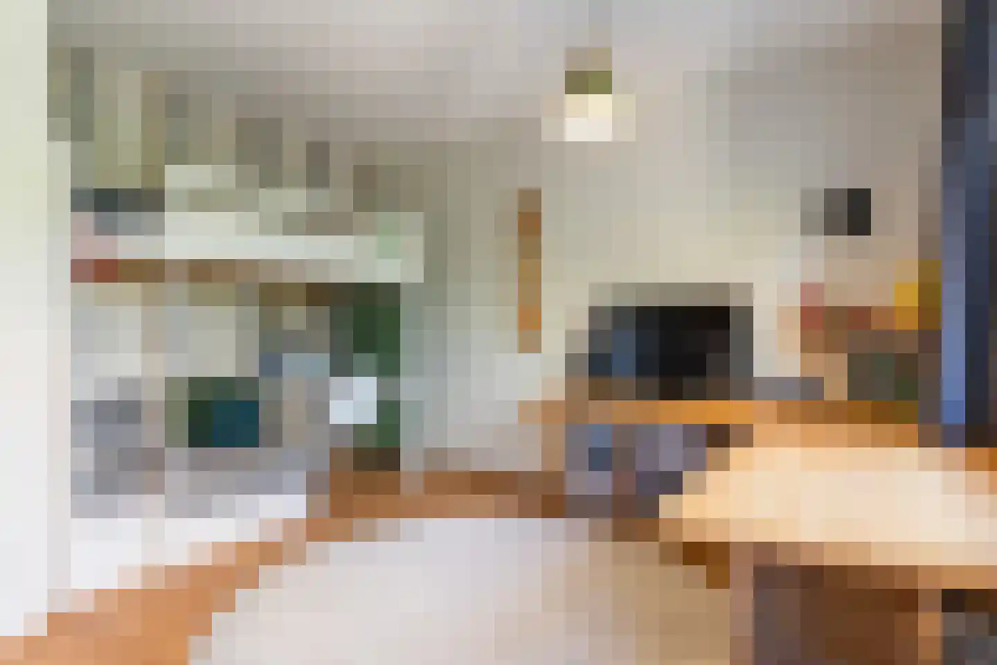 Parelhoender 20 Apeldoorn thumbnail 18