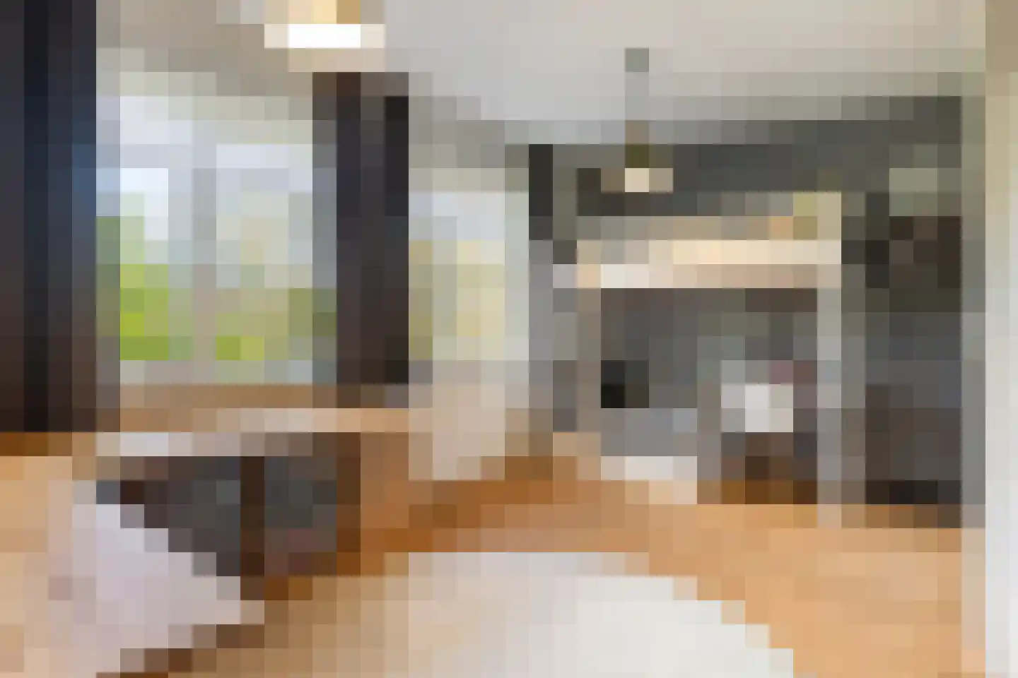 Parelhoender 20 Apeldoorn thumbnail 19