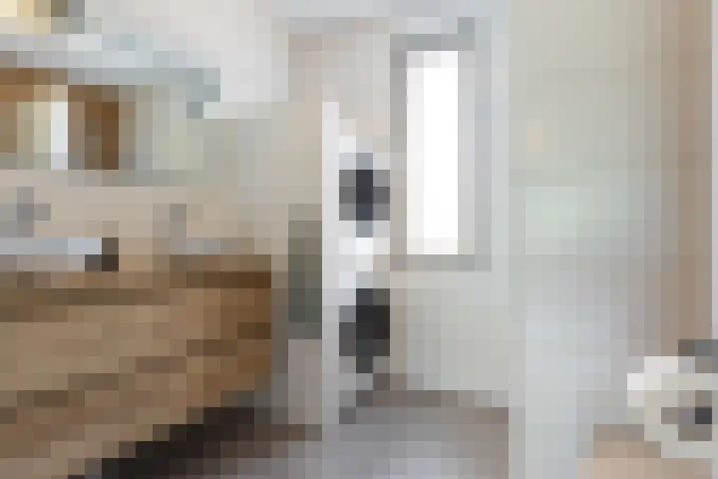 Parelhoender 20 Apeldoorn thumbnail 20