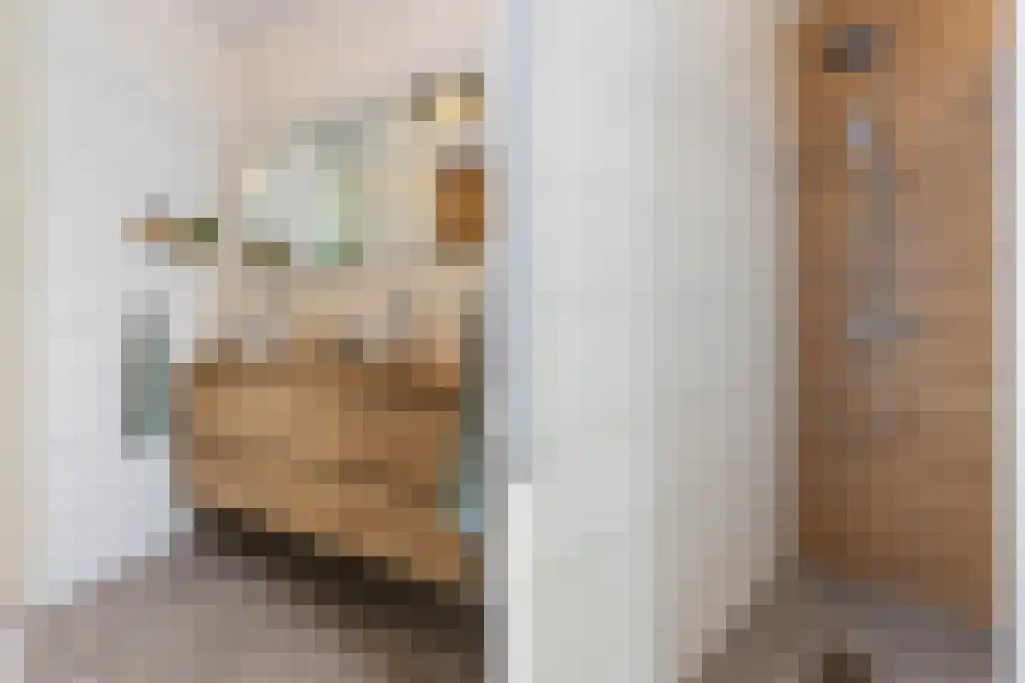 Parelhoender 20 Apeldoorn thumbnail 21