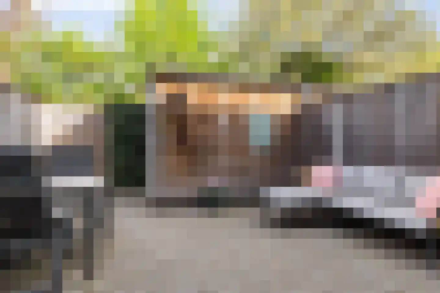 Parelhoender 20 Apeldoorn thumbnail 25