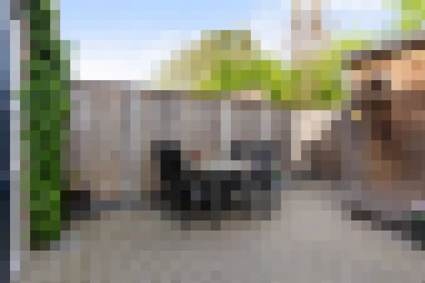 Parelhoender 20 Apeldoorn thumbnail 26