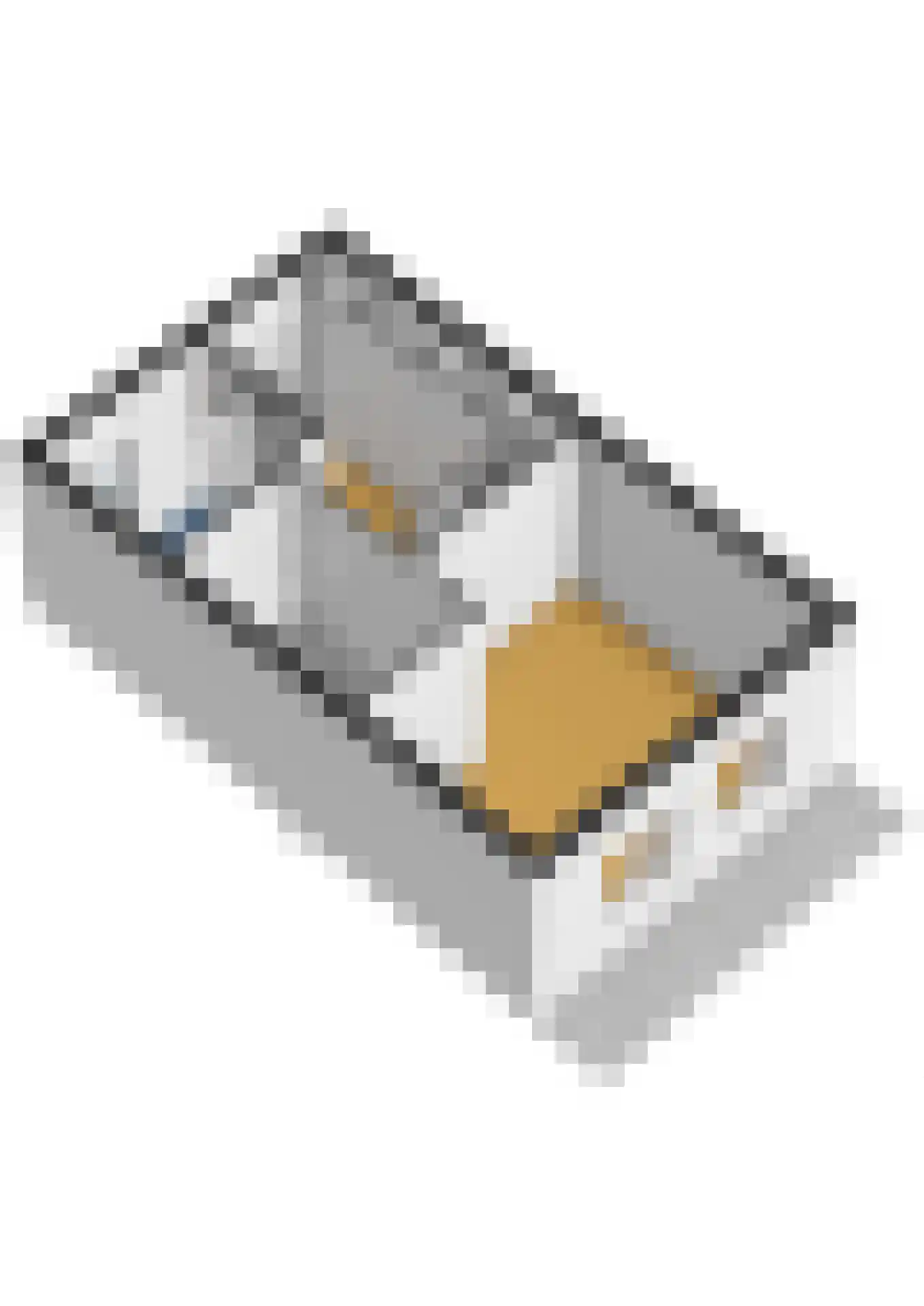 Parelhoender 20 Apeldoorn thumbnail 33
