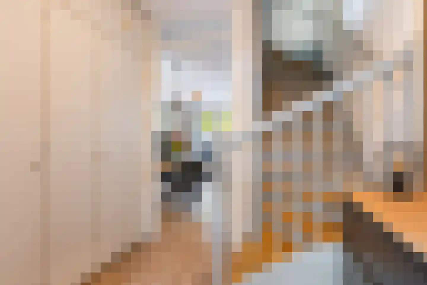 Parelhoender 20 Apeldoorn thumbnail 5