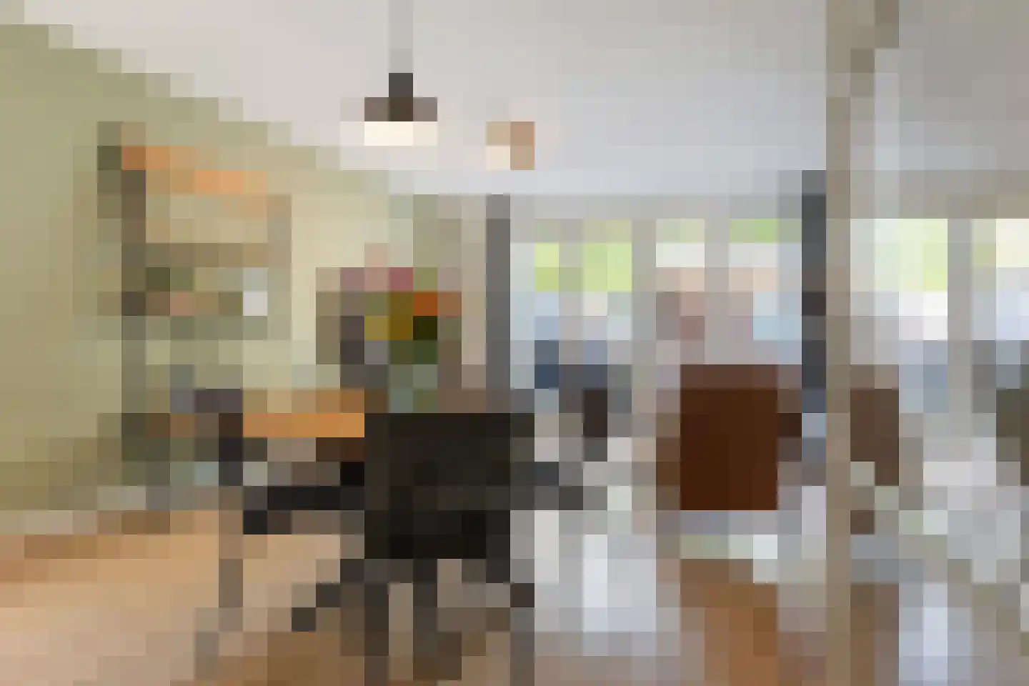 Parelhoender 20 Apeldoorn thumbnail 7
