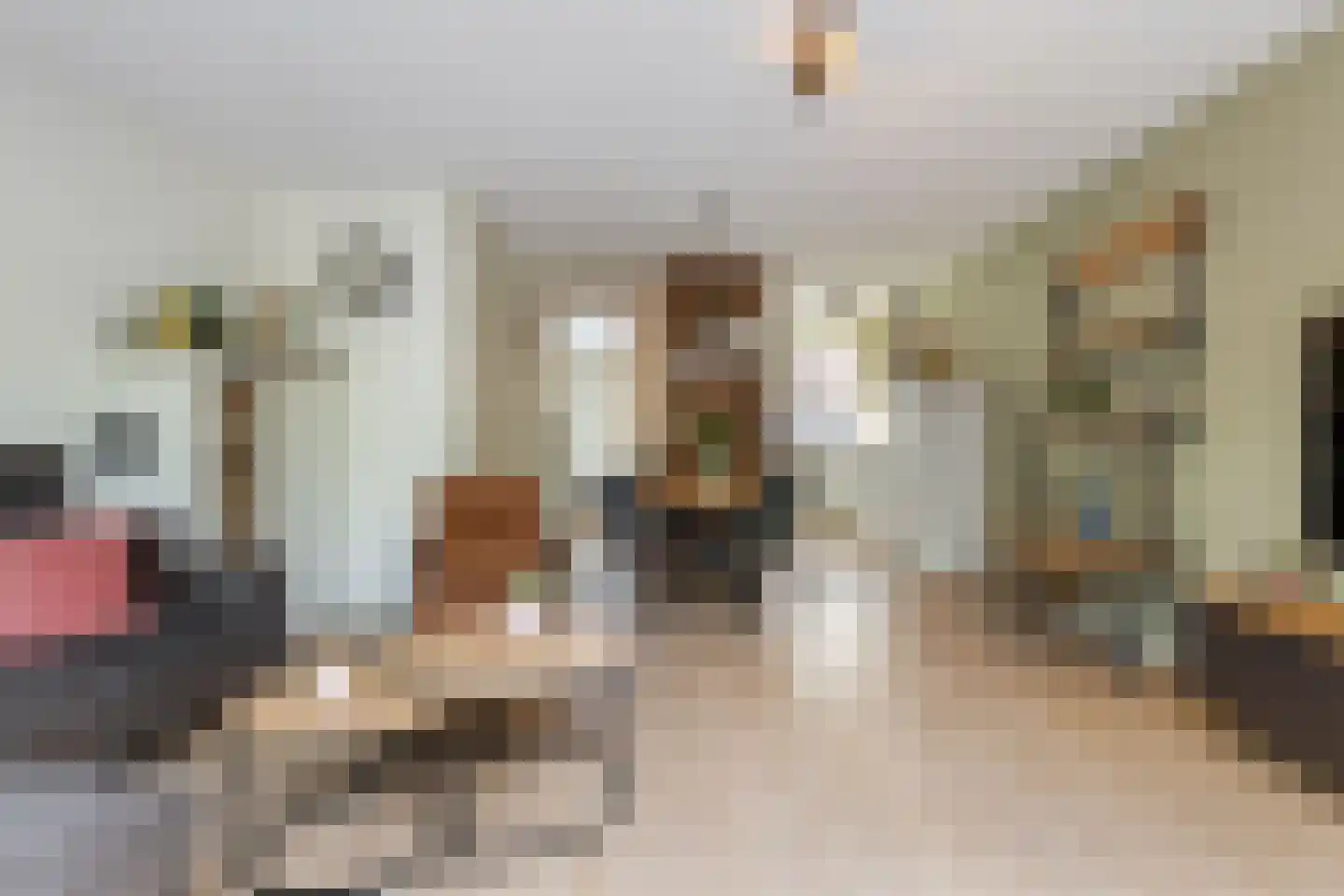 Parelhoender 20 Apeldoorn thumbnail 8
