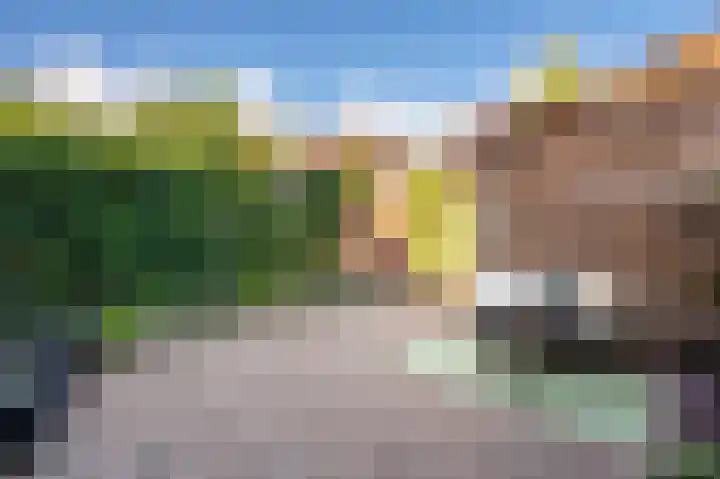 Parelhoender 44 Apeldoorn thumbnail 10