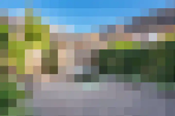 Parelhoender 44 Apeldoorn thumbnail 11