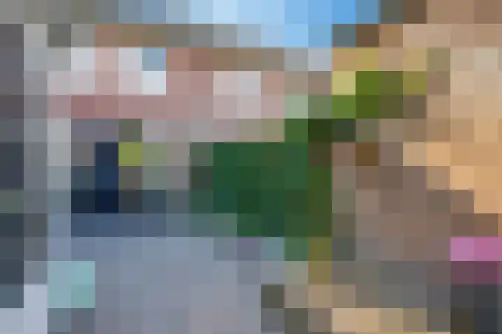 Parelhoender 44 Apeldoorn thumbnail 13