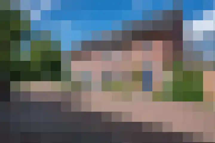 Parelhoender 44 Apeldoorn thumbnail 23