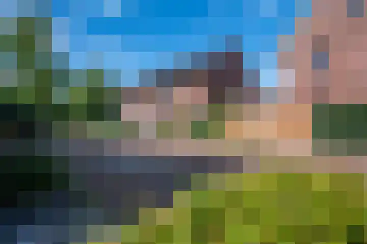 Parelhoender 44 Apeldoorn thumbnail 25