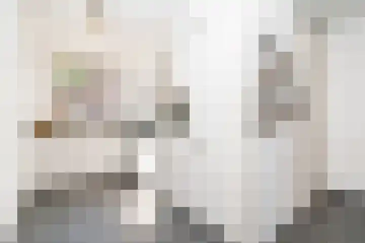 Parelhoender 44 Apeldoorn thumbnail 7