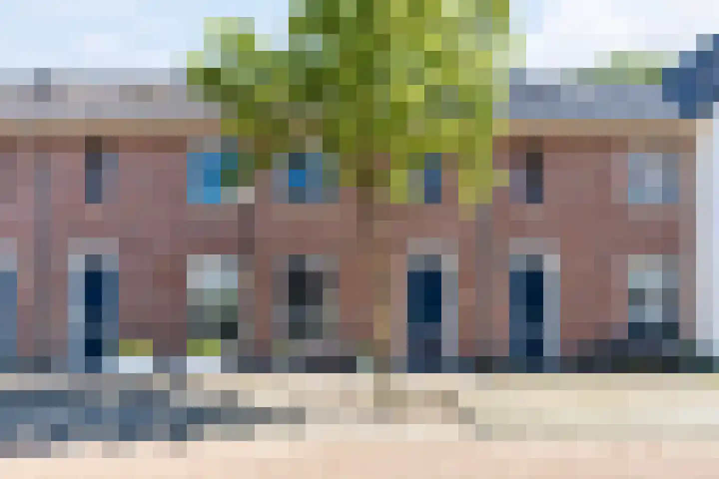 Parelhoender 52 Apeldoorn
