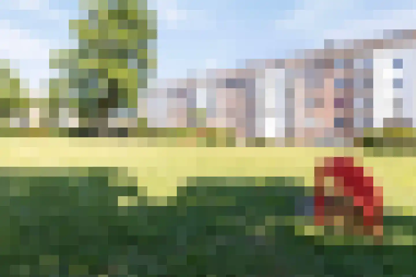 Parelhoender 52 Apeldoorn thumbnail 34