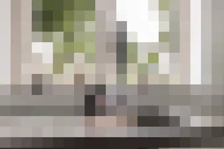 Parelhoender 6 Apeldoorn thumbnail 10