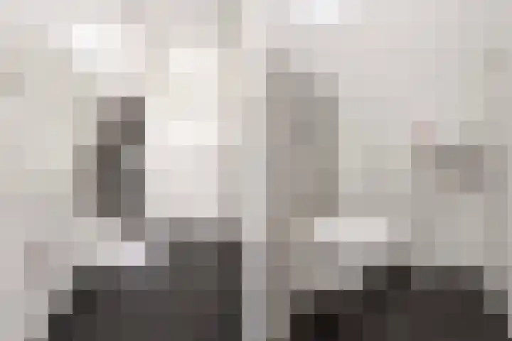 Parelhoender 6 Apeldoorn thumbnail 13