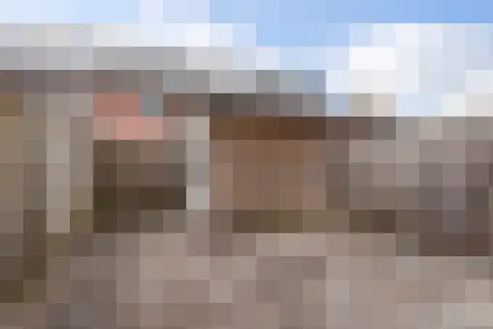 Parelhoender 6 Apeldoorn thumbnail 15