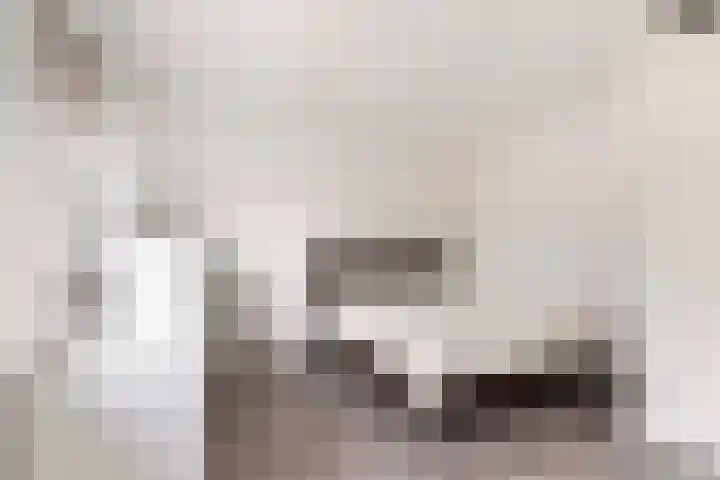 Parelhoender 6 Apeldoorn thumbnail 19