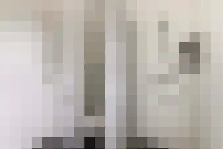Parelhoender 6 Apeldoorn thumbnail 23