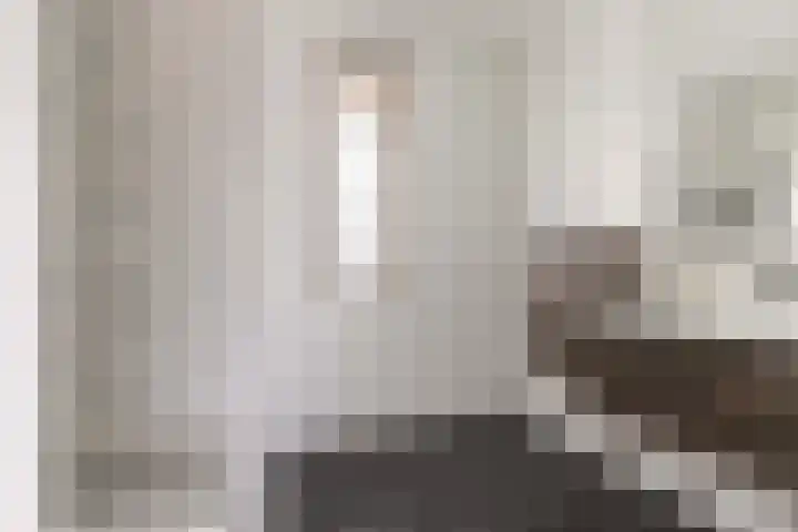 Parelhoender 6 Apeldoorn thumbnail 24