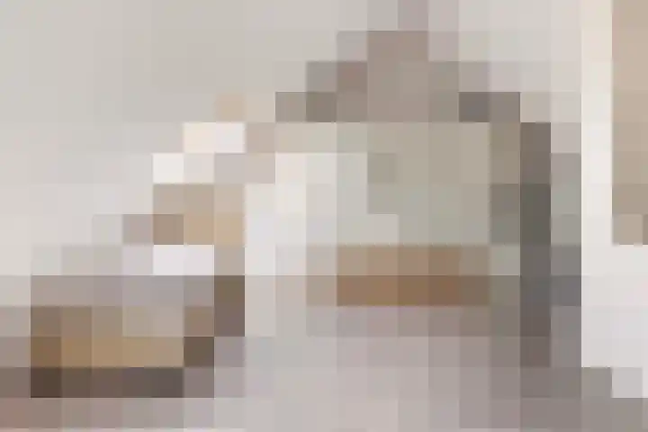 Parelhoender 6 Apeldoorn thumbnail 26