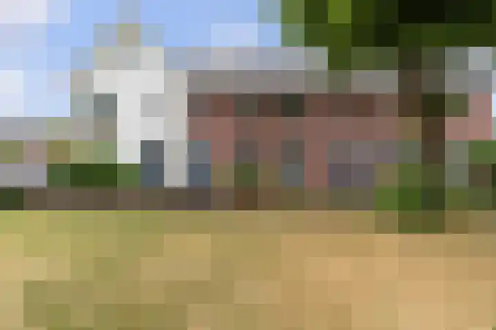 Parelhoender 6 Apeldoorn thumbnail 32